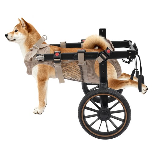 Adjustable pet rehabilitation - pet,