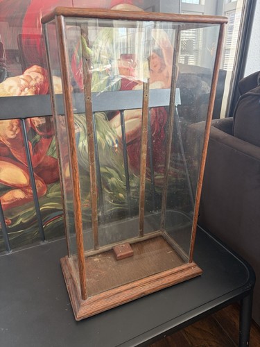 Vtg countertop showcase - vtg,