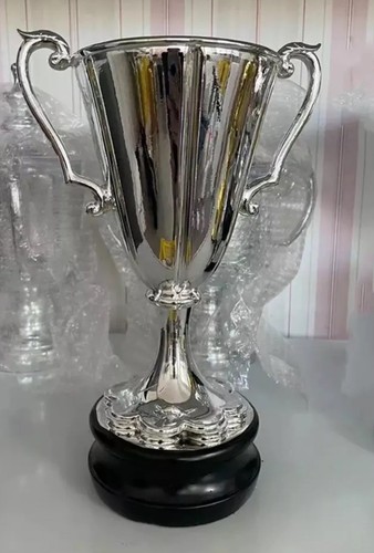 European winner cup trophy - european,