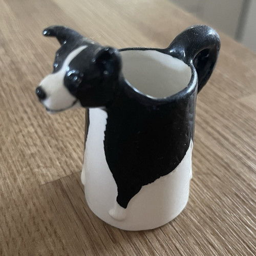 Border fine arts collie - border,