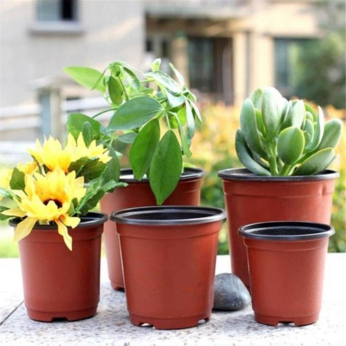Plastic plant flower pots - plant,