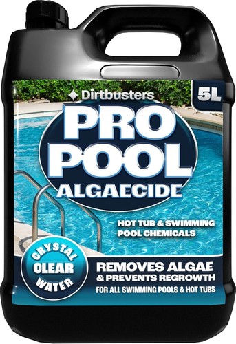 Dirtbusters pro pool algaecide - dirtbusters,