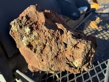 One Large Exotic Black & Red