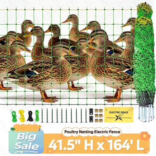 Updated poultry netting - poultry,