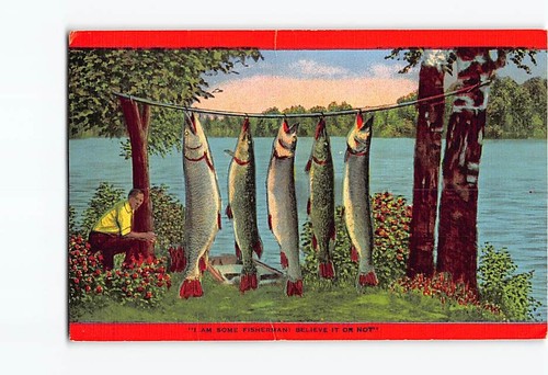 Postcard freshly caught - freshly, fish