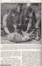 BIGGEST WORM FARM CATERS TO PLATYPUSES. AN ORIGINAL ARTICLE FROM THE NATIONAL GE