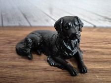 Black Labrador Retriever Style