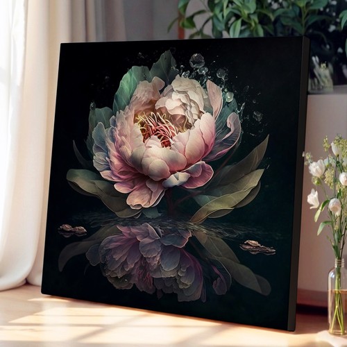Peony flower double - double, exposure
