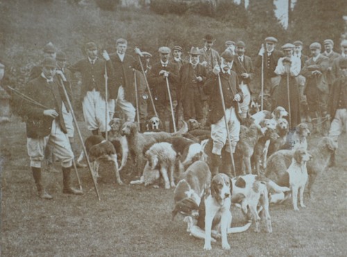 Stereoview photo otter - stereoview,