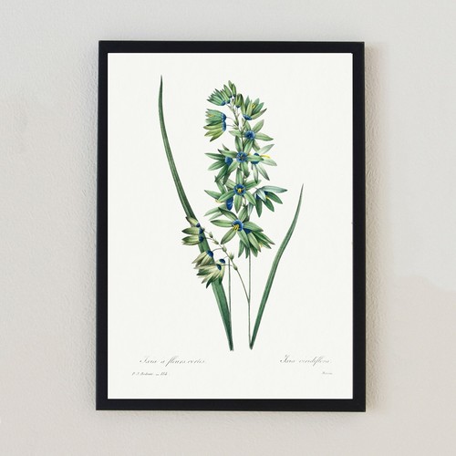 Vintage botanical flowers - vintage,
