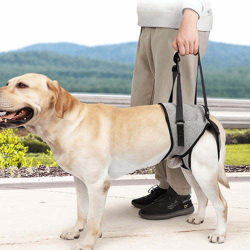 Dog rear legs support strap - support,