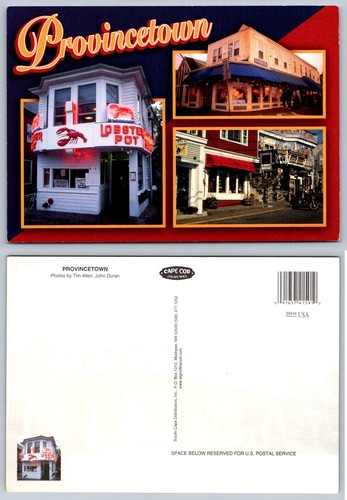 Provincetown lobster pot - lobster,