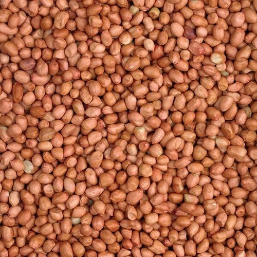 Peanuts wild bird - wild,