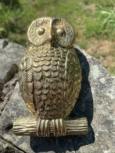 Solid brass owl door - owl, knocker