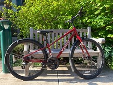 Hybrid bike