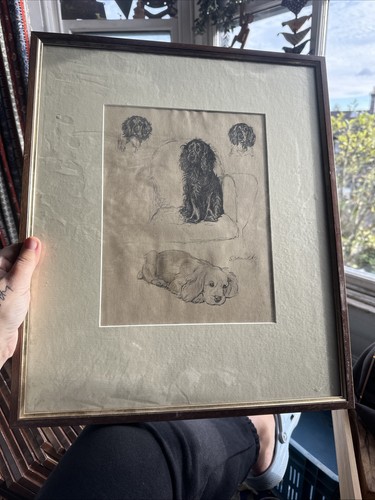 Cecil aldin framed print - cecil,