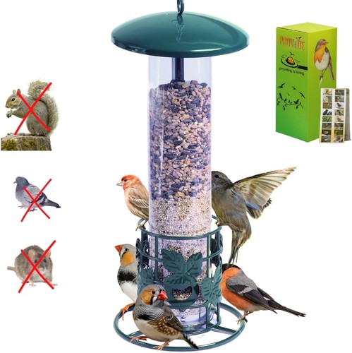 Squirrel proof bird feeder - proof,