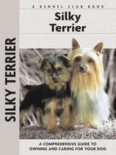 Silky Terrier: A Comprehensive
