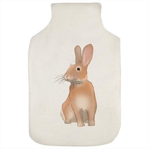 Sitting rabbit hot water - 'sitting,