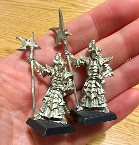 Warhammer dark elf black guard - dark,