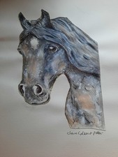 For Pony Lovers My Take On