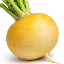 50 UK Giant Gold Turnip