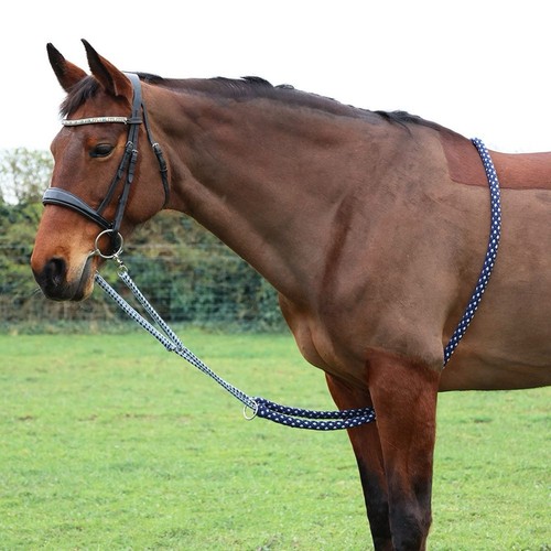 Equestrian lunging aid - hy,