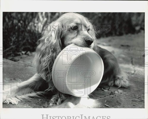 1988 press photo cocker - photo,