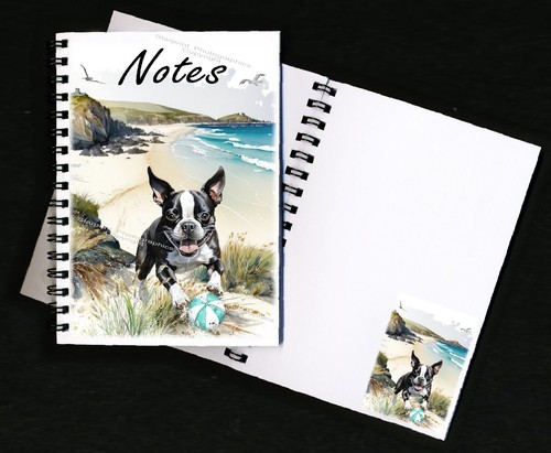 Boston terrier dog - boston,