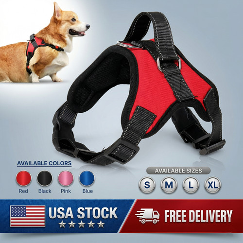 Pull dog harness reflective - dog,