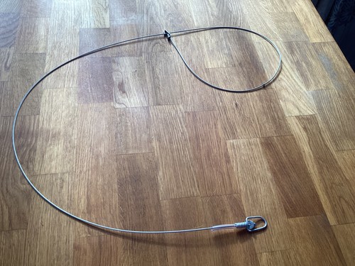 Fox restraining snares - fox,
