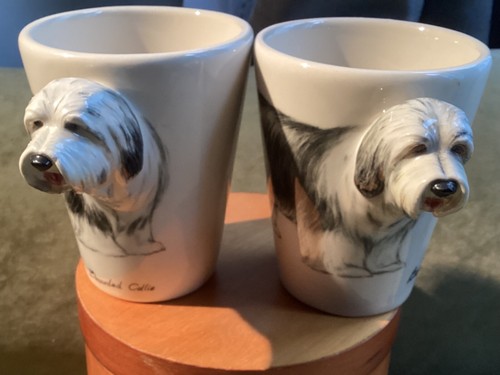 Blue witch bearded collie - blue,