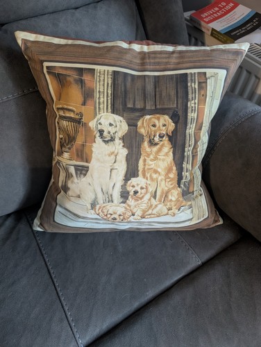 Lovely golden retriever - lovely,