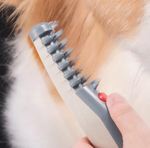 Electric pet dog grooming comb - dog,