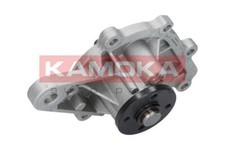 T0259 Kamoka Water Pump for