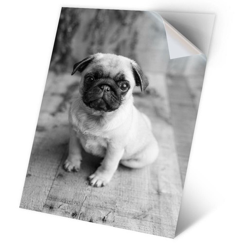 Vinyl sticker bw - x,