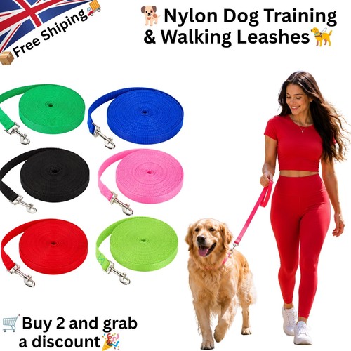 Extra long dog - extra, training