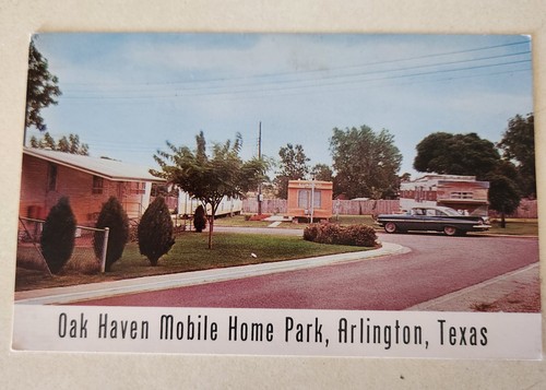Vintage unused postcard oak - vintage,