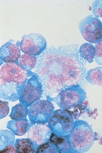 Microscope slide stains x - stains:,