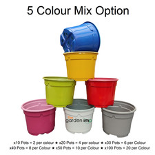 9cm Plastic Plant Pots Bright