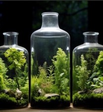 XL Heavy Duty Glass Terrarium
