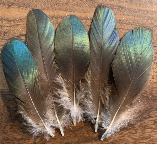 5pcs natural rare - natural, lady