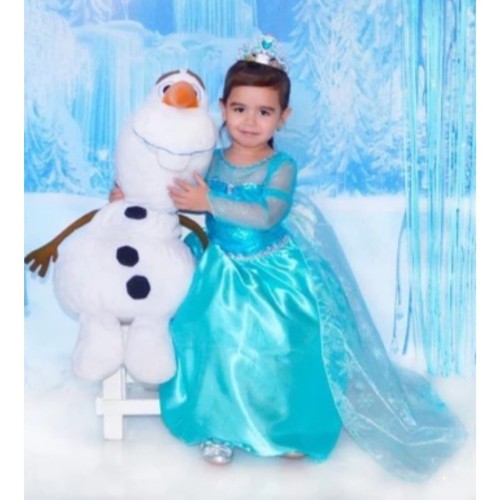 Elsa girls fancy dress - fancy,