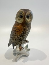 Karl Ens - TAWNY OWL -