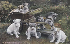 OLD POSTCARD HUMOUR DOG ANIMAL BULLDOG TOY WOODEN HORSE CART KL 644