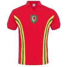 Official FAW Wales Football