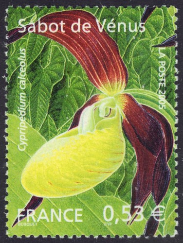 France 3102 lady s - -, lady's