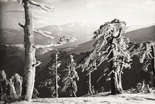 1934 Vintage 11x14 ~ ALBANIA ~