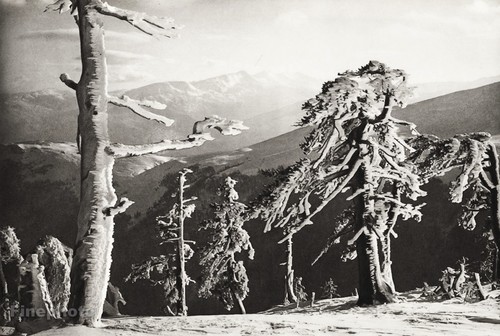 1934 vintage 11x14 - 11x14, albania