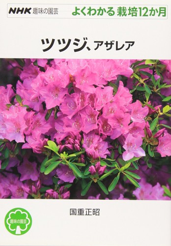 Azalea nhk hobby - azalea,,